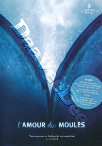 Mussels in Love | L